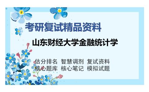 山东财经大学金融统计学考研复试精品资料