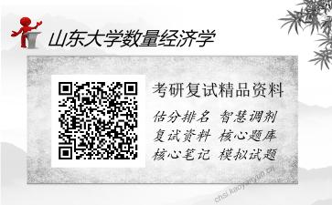 山东大学数量经济学考研复试精品资料