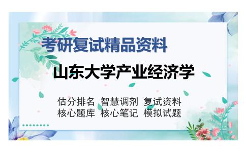 山东大学产业经济学考研复试精品资料