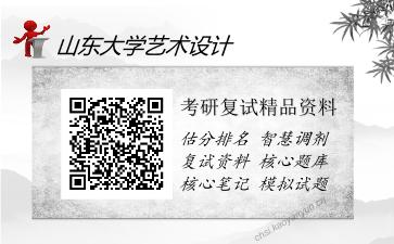 山东大学艺术设计考研复试精品资料