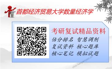 2025年首都经济贸易大学数量经济学《经济学综合》考研复试精品资料