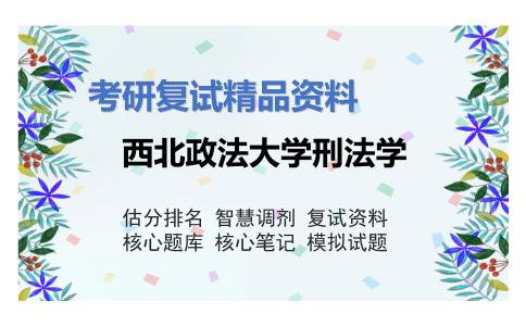 2025年西北政法大学刑法学《刑法学》考研复试精品资料