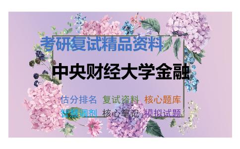 中央财经大学金融考研复试资料