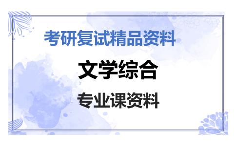 文学综合考研复试资料