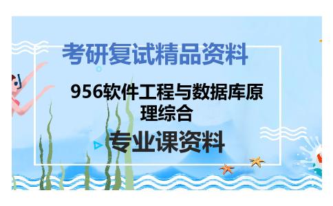 956软件工程与数据库原理综合考研复试资料