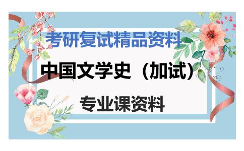 中国文学史（加试）考研复试资料