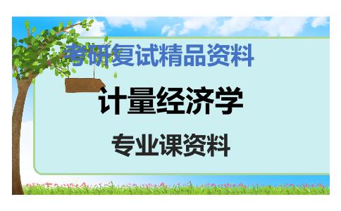 计量经济学考研复试资料